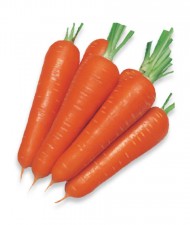 Σπόροι Καρότο