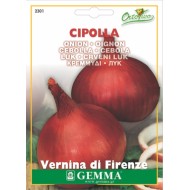 Κρεμμύδι Vernina di firenze 4,5g