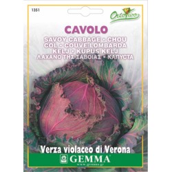 Λάχανο Verona purple 3g
