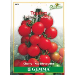 Σπόροι Τομάτα cherry
