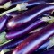 Μελιτζάνα Long Purple 25g