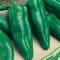 Πιπεριά μακριά πράσινη MARCONI EURO 25g
