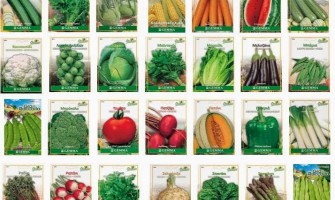 Σπόροι Λαχανικών - Θερμοκρασίες Βλάστησης